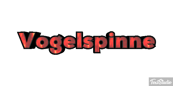 Vogelspinne Texteffekt