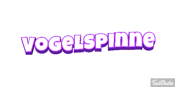 Vogelspinne Texteffekt