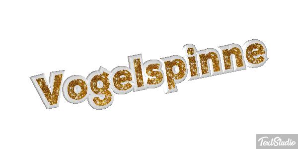 Vogelspinne Texteffekt