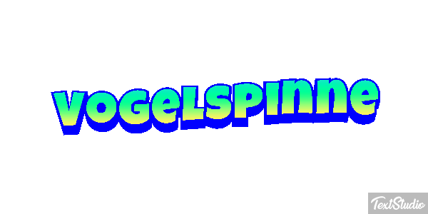 Vogelspinne Texteffekt