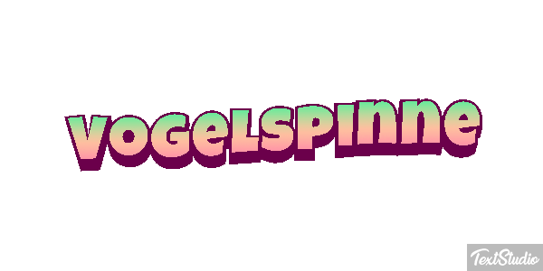 Vogelspinne Texteffekt