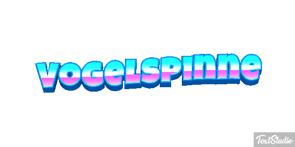 Vogelspinne Texteffekt