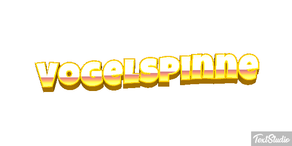 Vogelspinne Texteffekt