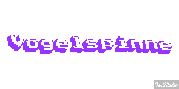 Vogelspinne Texteffekt