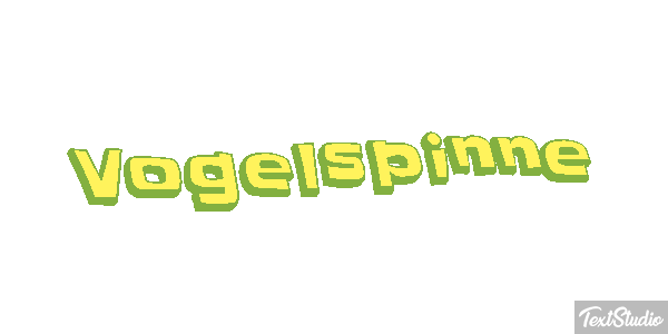 Vogelspinne Texteffekt