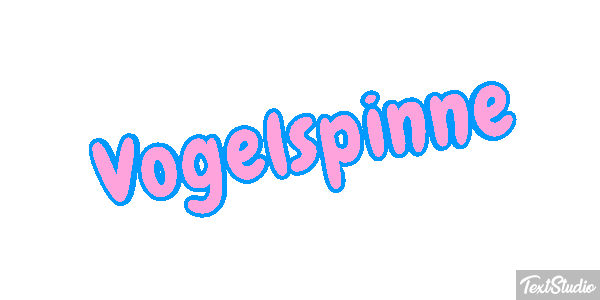 Vogelspinne Texteffekt