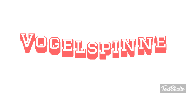 Vogelspinne Texteffekt