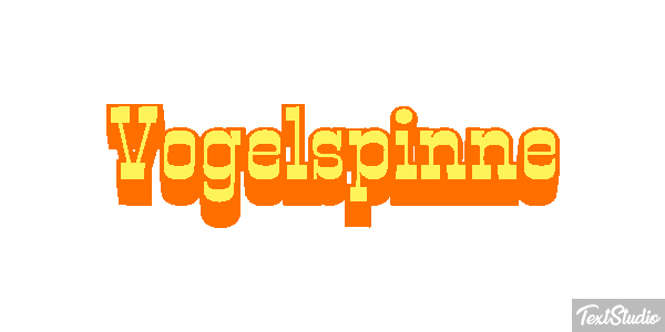 Vogelspinne Texteffekt
