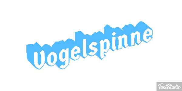 Vogelspinne Texteffekt