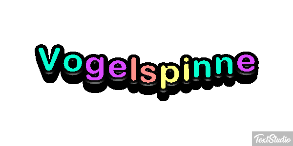 Vogelspinne Texteffekt