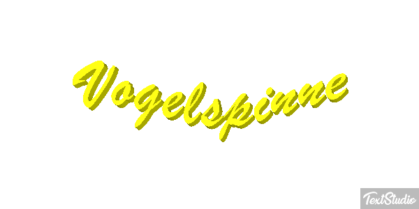 Vogelspinne Texteffekt