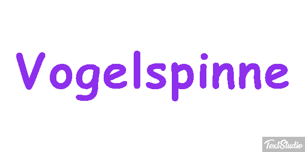 Vogelspinne Texteffekt