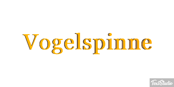 Vogelspinne Texteffekt