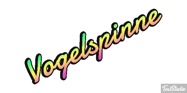 Vogelspinne Texteffekt