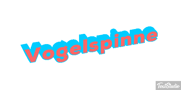 Vogelspinne Texteffekt