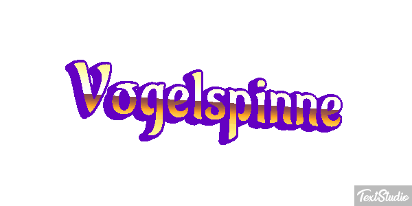Vogelspinne Texteffekt