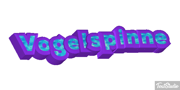 Vogelspinne Texteffekt
