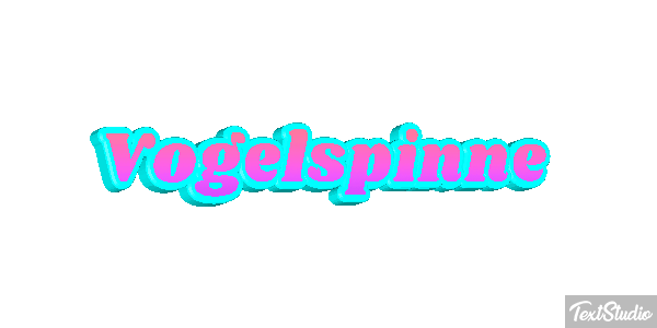 Vogelspinne Texteffekt