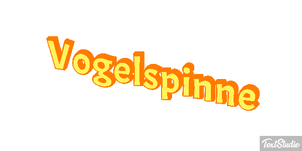 Vogelspinne Texteffekt