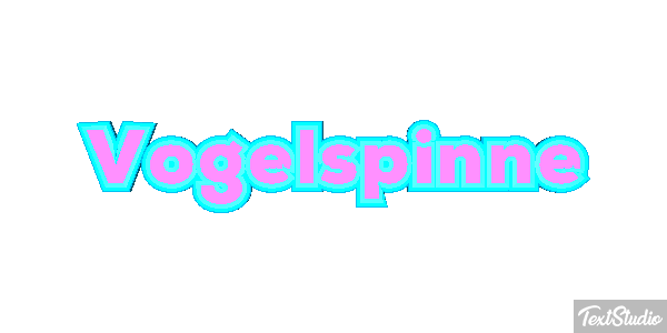 Vogelspinne Texteffekt