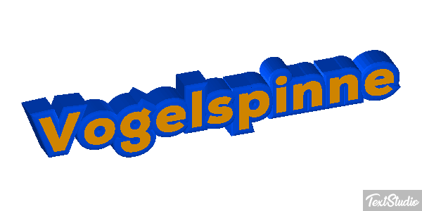 Vogelspinne Texteffekt
