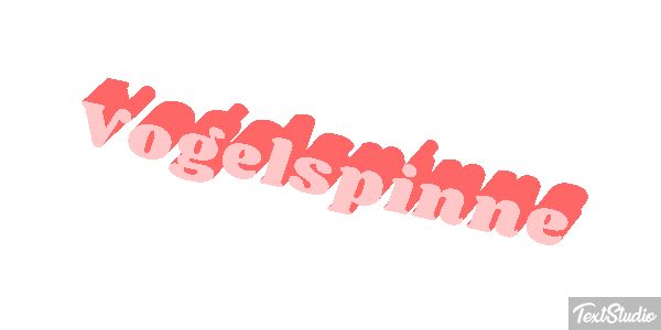 Vogelspinne Texteffekt