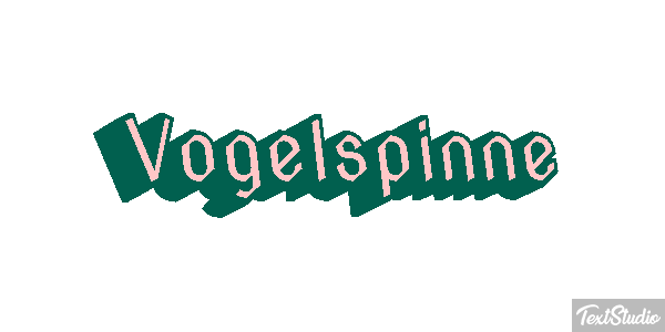 Vogelspinne Texteffekt