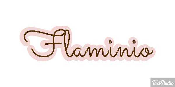 Flaminio Effetto testo