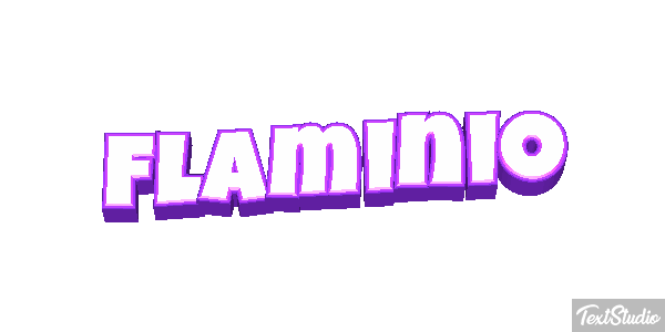 Flaminio Effetto testo