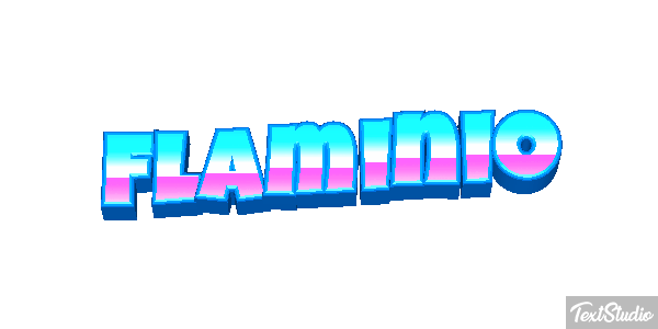 Flaminio Effetto testo