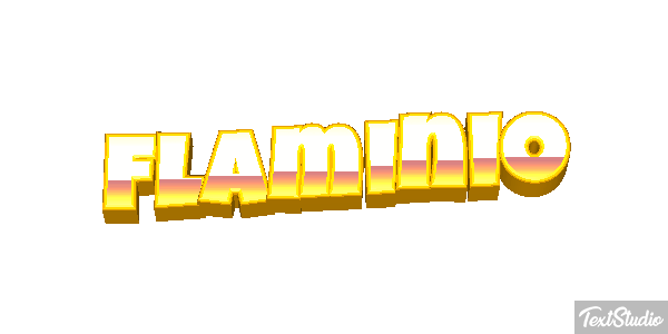 Flaminio Effetto testo