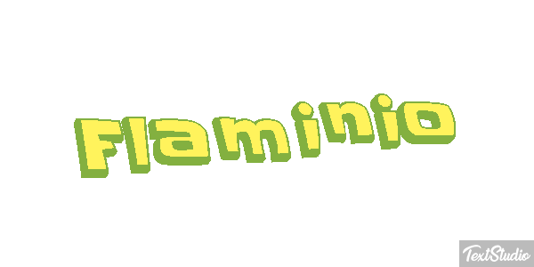 Flaminio Effetto testo