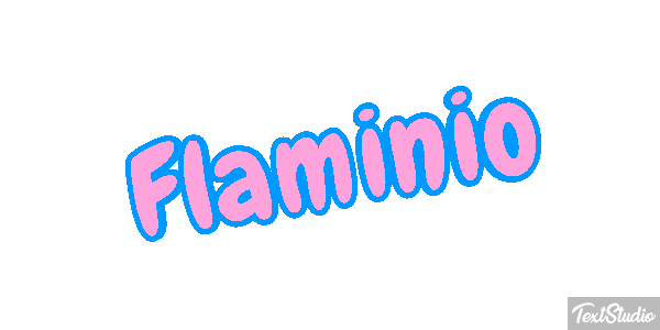 Flaminio Effetto testo