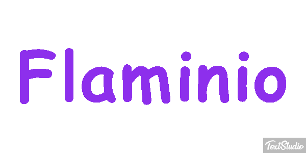 Flaminio Effetto testo
