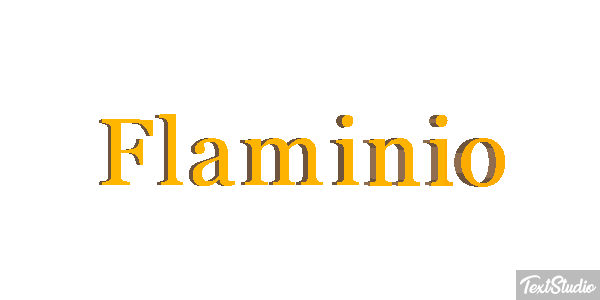 Flaminio Effetto testo