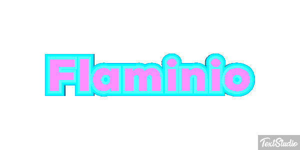 Flaminio Effetto testo