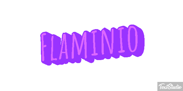 Flaminio Effetto testo
