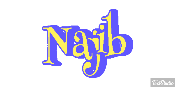 Najib Text effect