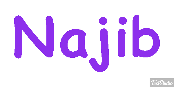 Najib Text effect