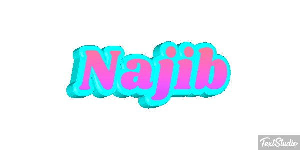 Najib Text effect