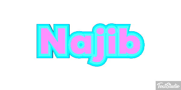 Najib Text effect