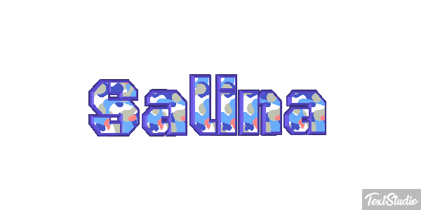 Salina Text effect