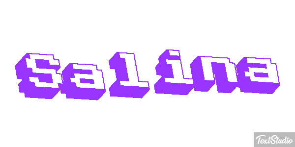 Salina Text effect