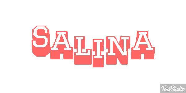 Salina Text effect