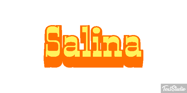 Salina Text effect