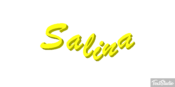 Salina Text effect