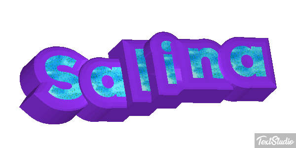 Salina Text effect