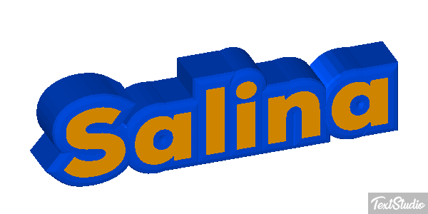 Salina Text effect
