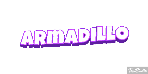 Armadillo テキスト効果