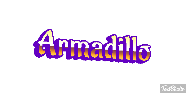 Armadillo テキスト効果